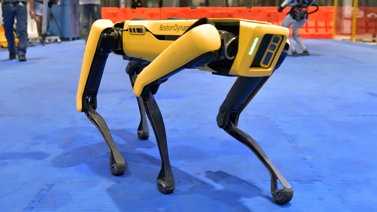 Top 2 Viral News About NYPD's Robot, Digidog