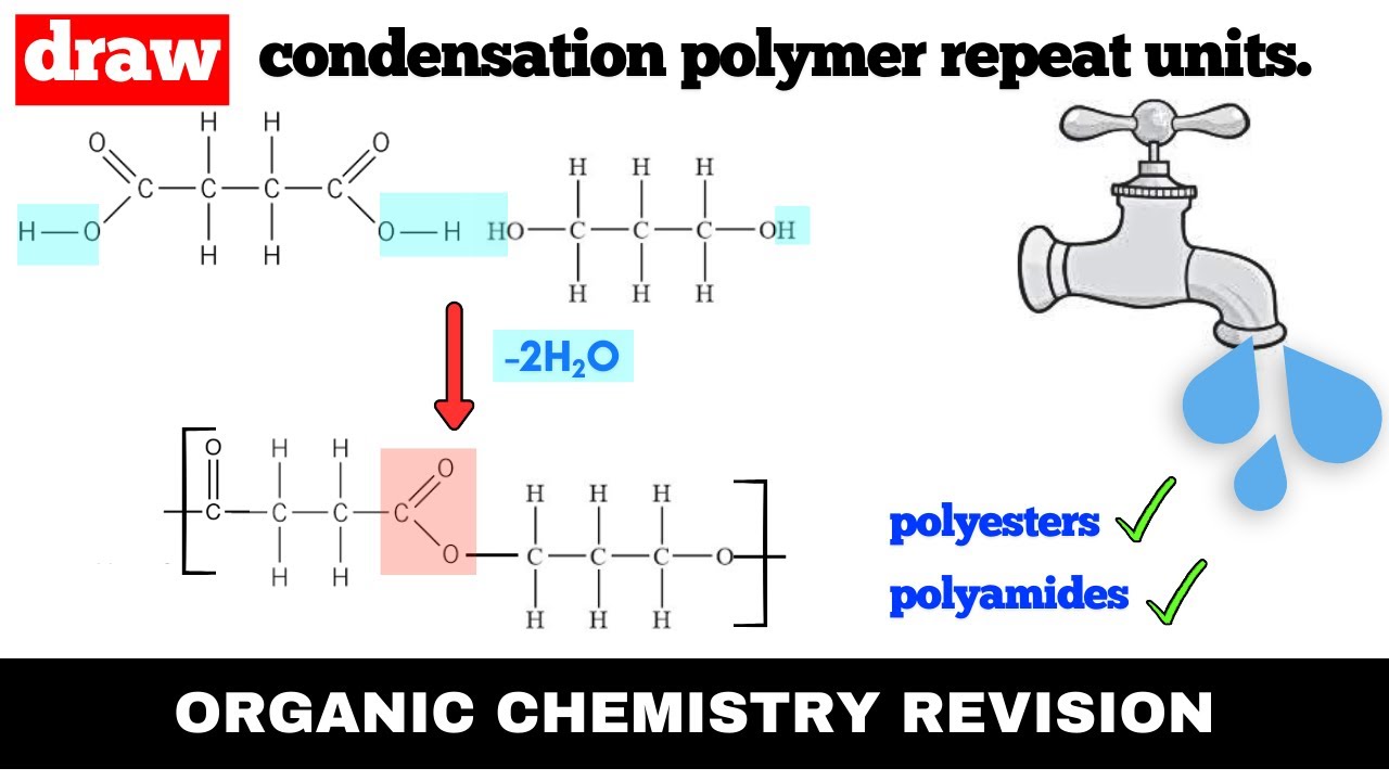 How To Draw Condensation Polymers From Monomers | Condensation ...