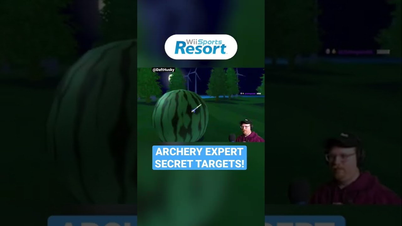 Wii Sports Resort Archery Expert SECRET Targets! 