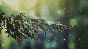 تلاوة خاشعة تدمي القلب سورة السجدة باجمل صوت HD