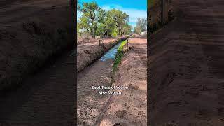 #NewMexicon#aguaesvida #waterislife #acequia #newmexicotrue