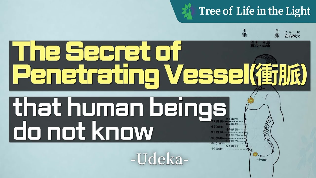 The Secret of Penetrating Vessel (衝脈) that human beings do not know ...