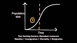 5.3.3 Explain the reasons for the phases of the population growth curve