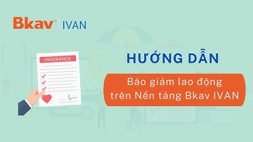 Hướng dẫn Kê khai và nộp hồ sơ báo giảm lao động (HN4/VN4) trên Nền tảng Bkav IVAN