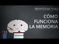 Cómo funciona tu memoria: codificación, almacenamiento y recuperación | Aprendizaje Arata 19