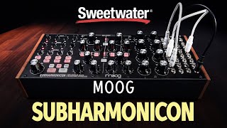 Moog Subharmonicon Analog Polyrhythmic Synth — Daniel Fisher