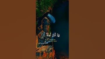 الشيخ اسلام صبحي سورة النجم ❤️
