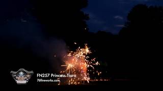 FN257 Princess Tiara