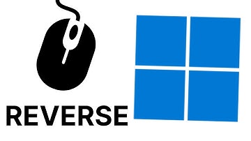 How to Reverse Mouse Scroll on Windows 11