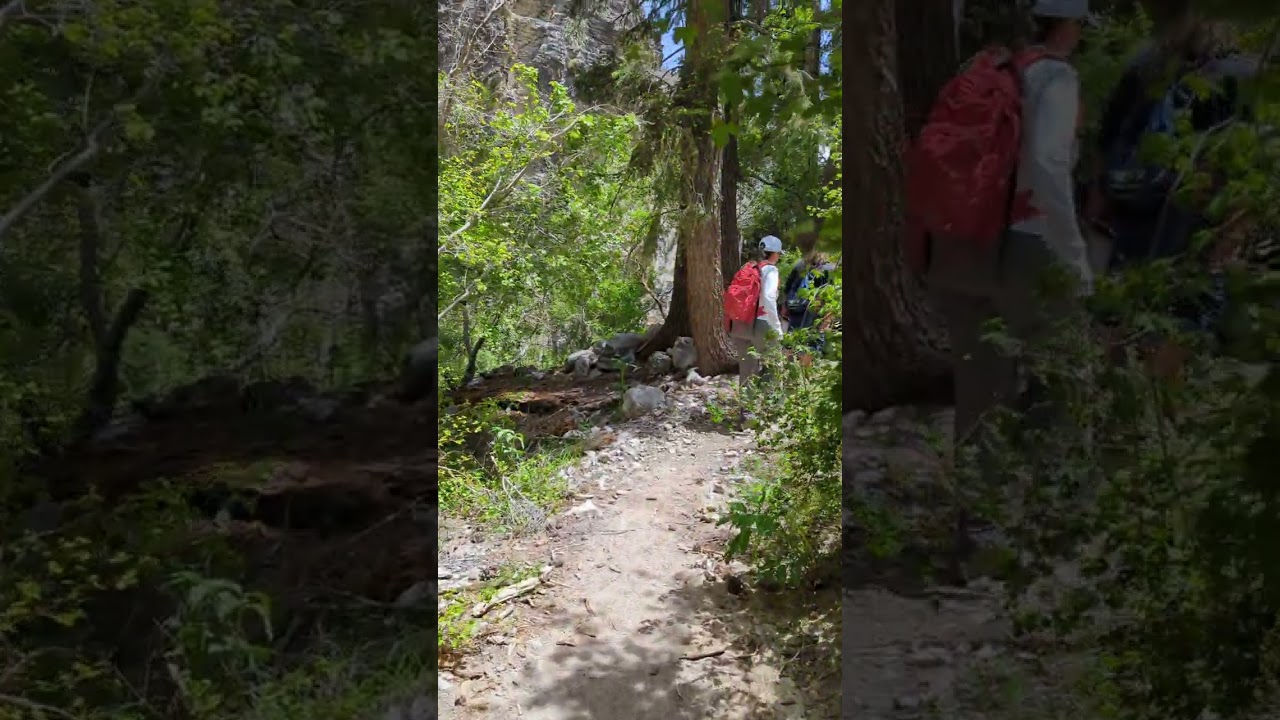 Fletcher Canyon Trail | Mt  Charleston | Las Vegas | Pickupsports | 13