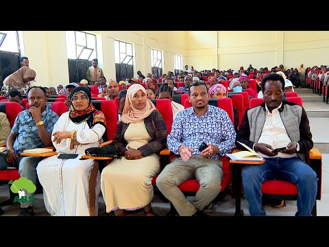 Bulchiinsa Magaalaa Adaamaa Kutaa Magaalaa Booleetti Sosochiin Sassaabbii Galii Gaggeeffame