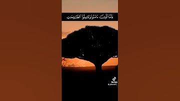 #قران | سورة الروم {الله يبدأ الخلق ثم يعيده ثم إليه ترجعون} القارئ #عبدالله_الموسى #وذكــــر #quran