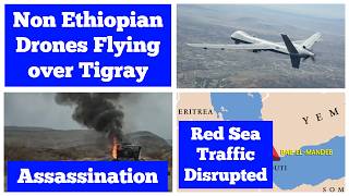 Drones not Belonging to Ethiopian Military Flying Over Tigray | Oromia Assassination | Bab El Mandeb