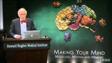 lecture 1 mapping memory in the brain