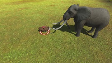 Explosive warthog vs every unit |Animal Revolt Battle Simulator