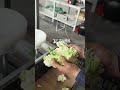 Industrial Vegetable Root Cutting Machine#VegetableRootCuttingMachine #vegetableprocessing