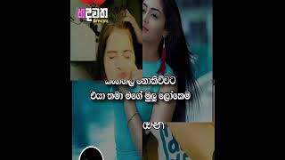Kagedo Waradda - Chethiya ( Love is Life )