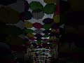 Worrying Is The Thief Of Joy Inspirationalvideo Motivation Donotfear Donotworry 
