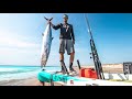 KINGFISH catch and cook UNSEASONED