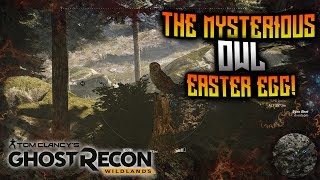 Ghost Recon Wildlands - The Mysterious Owl Easter Egg!