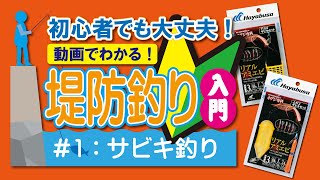 初心者でも大丈夫！動画でわかる！堤防釣り入門｜1サビキ釣り