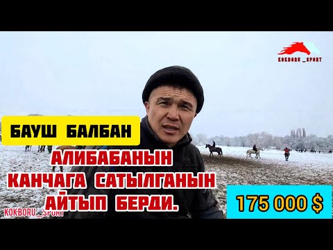 Video: Али Баба жөнүндө маалымат - Али Баба дарбыз өстүрүүнү үйрөнүңүз