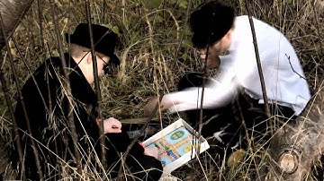 Hound of the Baskervilles - Part 2