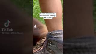 The Kratts Brothers talk about houses