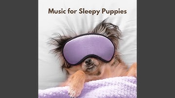 Atmospheric Ambiance for Forgetting Mirrors