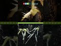 Plant Growth and Germination Concepts