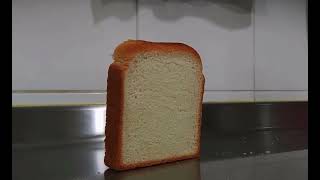 Toast falling over all endings