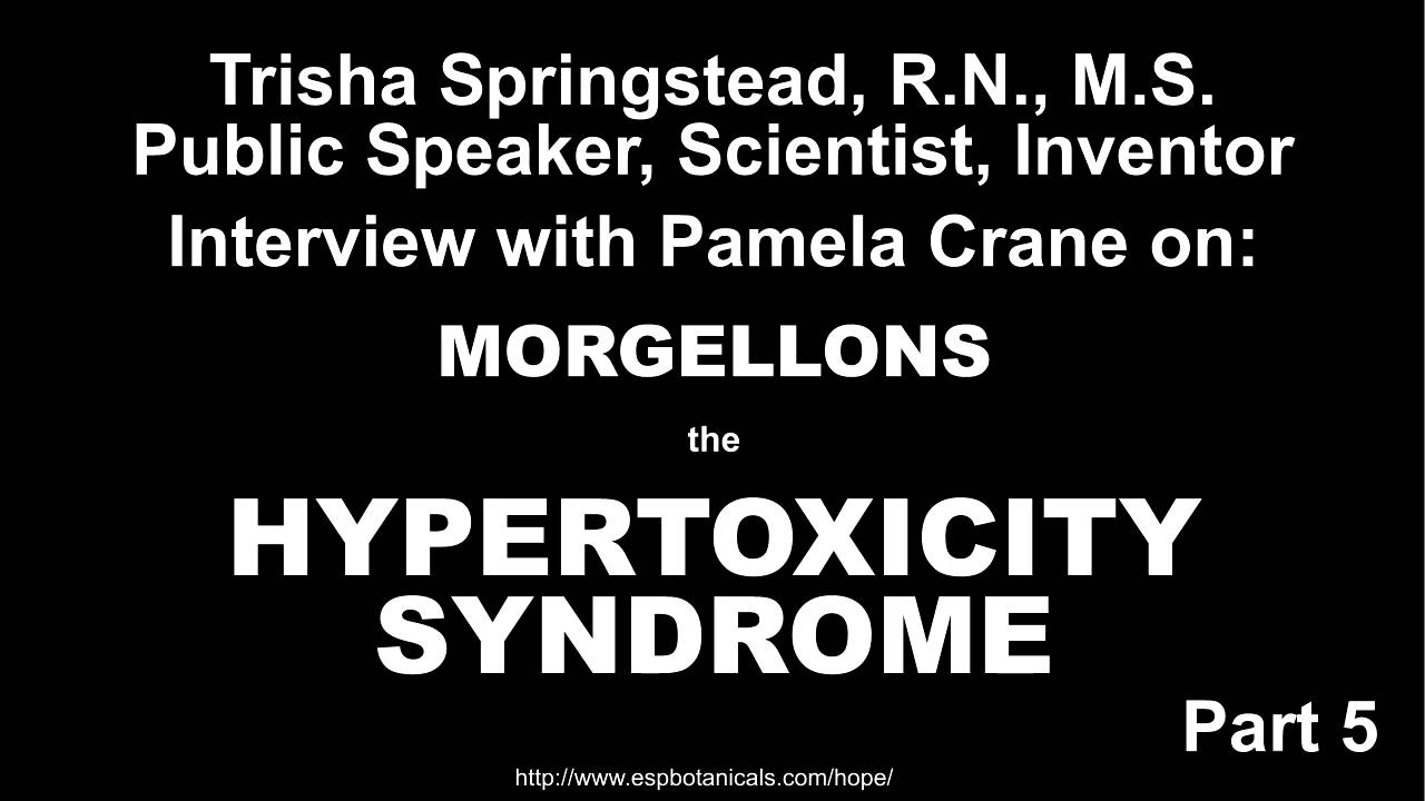 Morgellons Report Part 5 - Hypertoxicity Syndrome