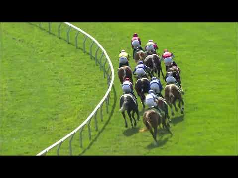 video thumbnail for MONMOUTH PARK 8-11-23 RACE 5