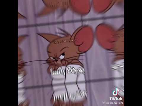 خلاص خلاص خلويس خلصنا و ابتداقنا 