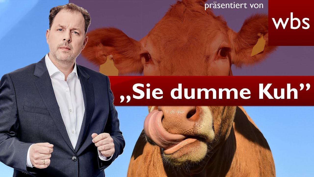 „Sie dumme Kuh” I Österreicher zofft sich mit Deutscher und wird