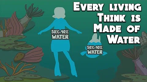 Every Living Creature Is Made Of Water - Islamic Video | Eman Haggag | Quran And Science