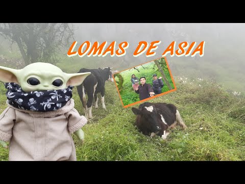 LOMAS DE ASIA - COMO LLEGAR A LAS LOMAS DE ASIA CON S/28 SOLES.