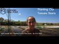 Feed Yourself 365 - Planting Tomato Plant Starts - Ep  53 of 2022