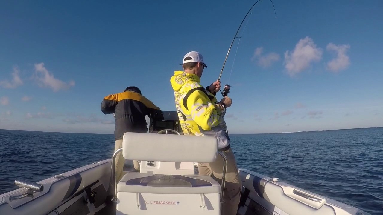 Edge Rods, Madness Vibes Catching CQ Reefies YouTube