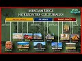 Horizontes culturales de mesoamrica  historia profe sergio 19