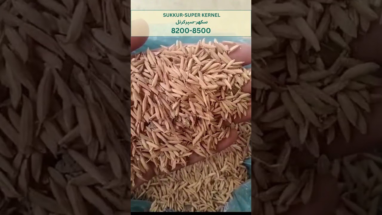 PAR: Sukkur Ghalla Mandi Super Kernel Rates