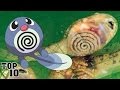 Top 10 Pokemon You Can Find In Real Life