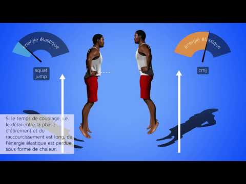 Modes de contraction musculaire