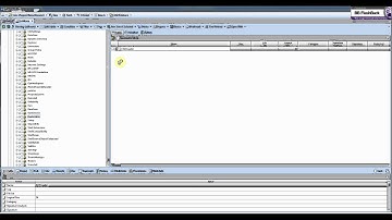 Server added and activated, viewing the registry.flv