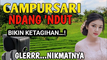 CAMPURSARI NDANG