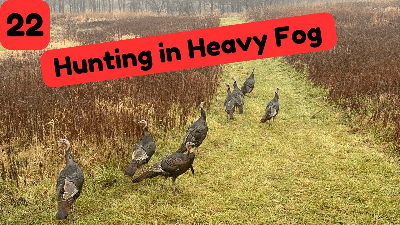 Day 22 (12/15): Heavy Fog Hunting | Turkeys UNDER the blind - YouTube