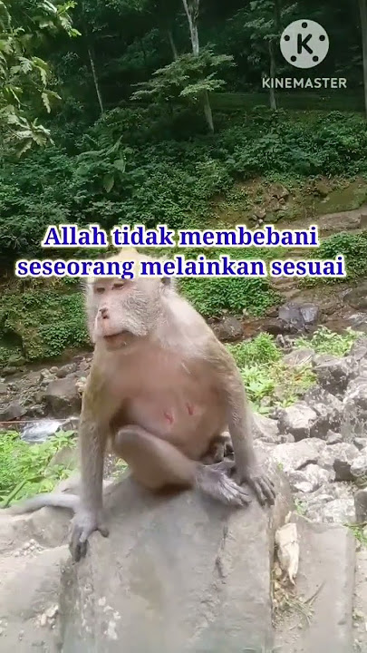 30 Mei 2024 #videoshorts #motivasi #hidup #quotes #feedshorts #reels #murottal #alquranmerdu #qori