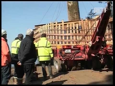 ციხისძირში ხეების გადასატანად ნავმისადგომს აშენებენ