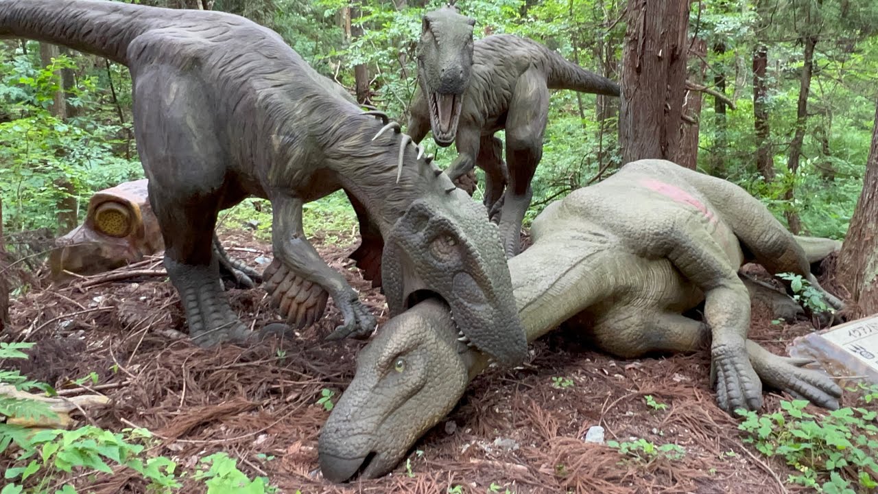 #かつやまディノパーク@福井かつやま恐竜の森🦕生フルコース🦖Full-Course Dinosaur😱