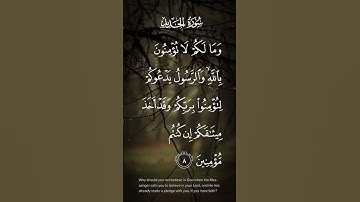 سورة الحديد ومالكم لاتؤمنون بالله والرسول يدعوكم لتؤمنوا بربكم وقد اخذ ميثاقكم  الاية ٨ #quran
